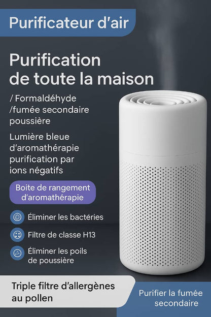 Purificateur d'air